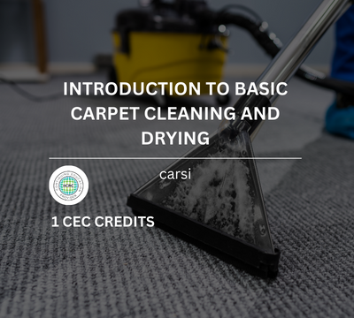 Introduction to Basic Carpet Cleaning and Drying