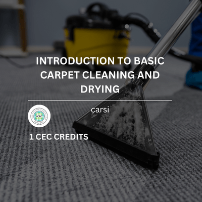 basic-carpet-cleaning-1