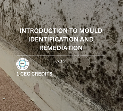 Introduction to Mould Identification and Remediation